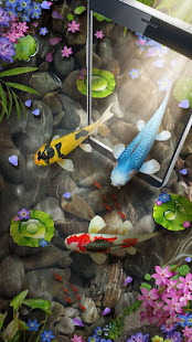 Koi Fish Live Wallpaper 2021 for PC / Mac / Windows  - Free Download  