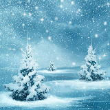 Winter Wallpapers HD icon