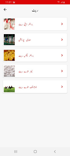 Pak Poultry Screen 3