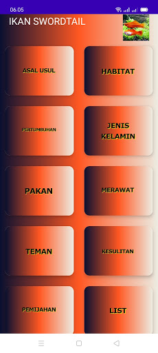 Budidaya ikan hias Swordtail