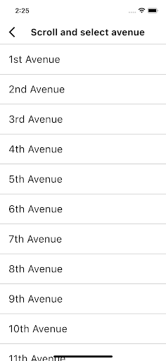 NYC Cross Streets Screen 2