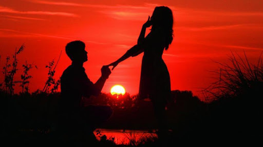 Zindagi Gulzar Hai Full Novel Screen 2