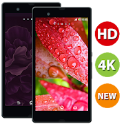 Top 40 Personalization Apps Like HD Vivo X5,X5 Pro - 4k & Full HD Wallpapers - Best Alternatives