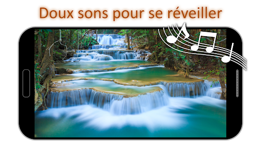 Aperçu de l'application