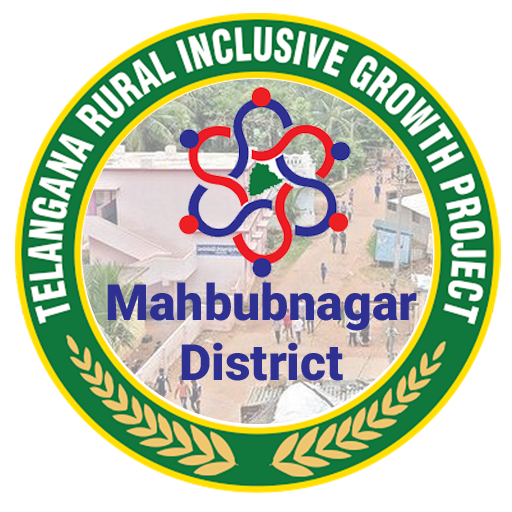 PallePragathi - Mahabubnagar logo
