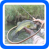 101 Tips Fly Fishing icon