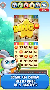 Bingo: Free the Pets