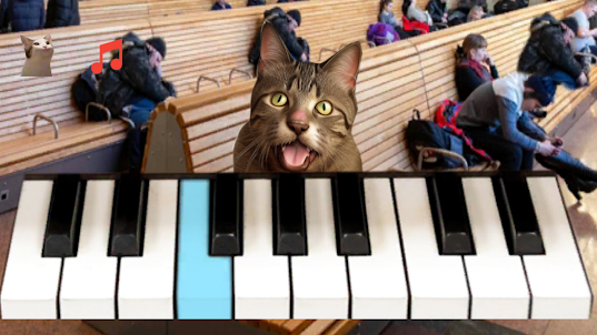 Pop Cat Piano