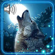 Moon Wolf Songs Live Wallpaper