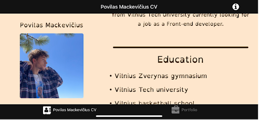 Povilas Mackevicius CV Screen 3