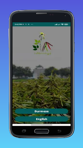 Green Bean Guide Screen 3
