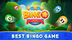 screenshot of Bingo - Offline Leisure Games
