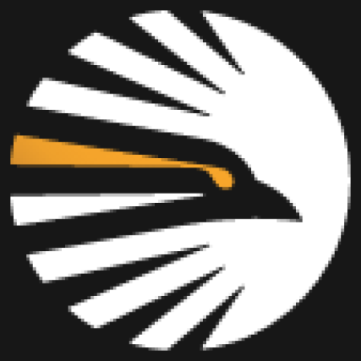 Cyber Hawk logo