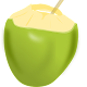Uses of Coconut Download on Windows