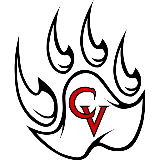 Castle View Football Sabercat logo