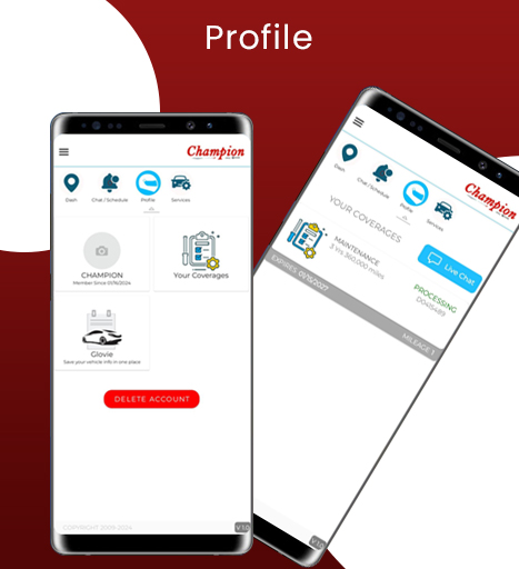 CHAMPION AUTO CARE Screen 3