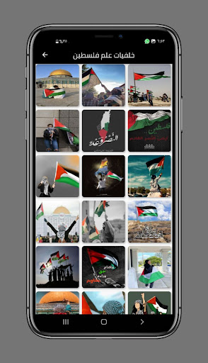خلفيات علم فلسطين 4k Screen 2