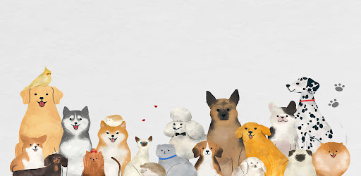 PetDaily