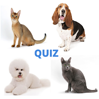 Cats  Dogs Quiz - Guess Breeds with Photos