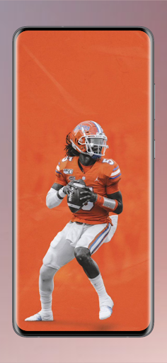 Florida Gators football fans