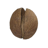 Coconut Simulator icon