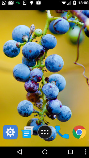 grape wallpaper Screen 2