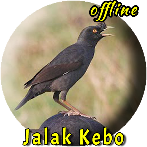 Jalak Kebo Gacor MP3 Offline 1.0.1 Icon