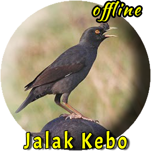 Jalak Kebo Gacor MP3 Offline Scarica su Windows