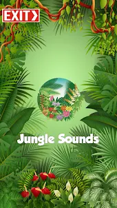 Jungle Sounds Effects 3D