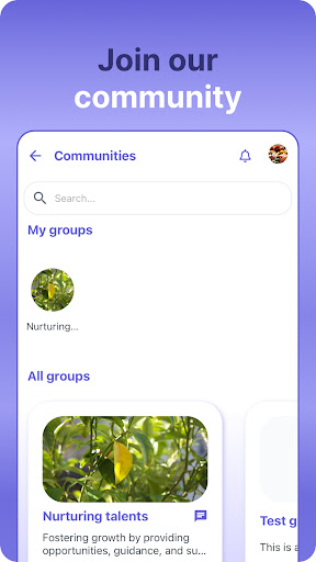 Screenshot of Xaidi