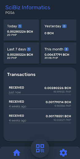 Paytaca POS Screen 2
