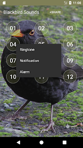 Captura de Pantalla 2 Blackbird Sounds android