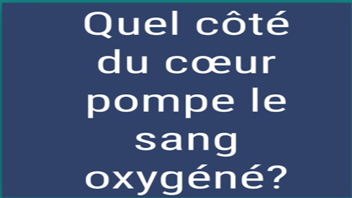 QUIZ SYSTEME CARDIOVASCULAIRE