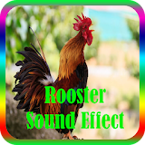 Rooster Sound Effect mp3 Offline icon