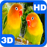 Parrots Agapornis Fischeri Bright Couple icon