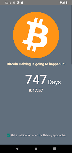 Bitcoin Halving Screen 3