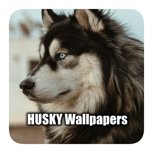Husky Dog Wallpapers | Cute Download on Windows