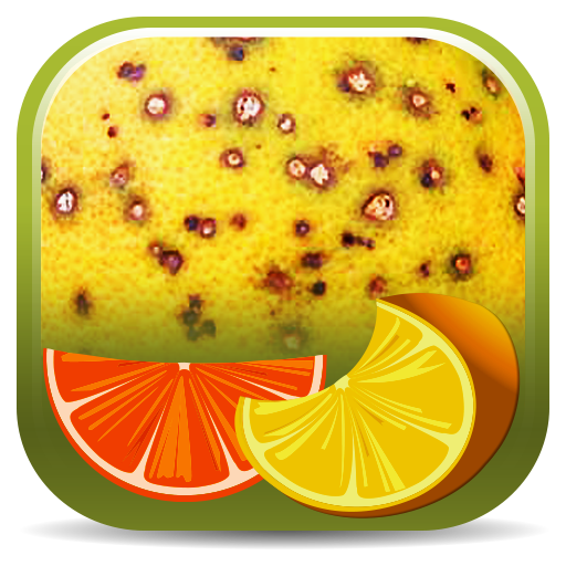 Citrus Diseases Key  Icon