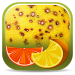 Cover Image of ดาวน์โหลด Citrus Diseases Key  APK