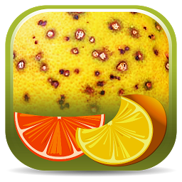 Icon image Citrus Diseases Key