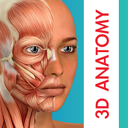 圖示圖片：Human Anatomy Learning - 3D