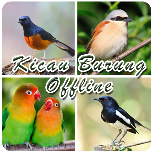 Kicau Burung Offline Download on Windows