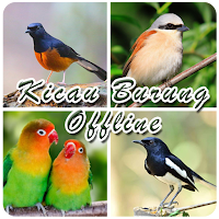 Kicau Burung Offline