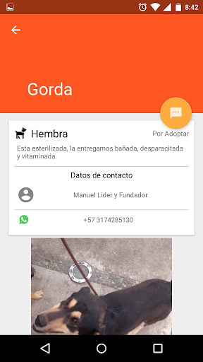 Fuerza Animalista Pamplona