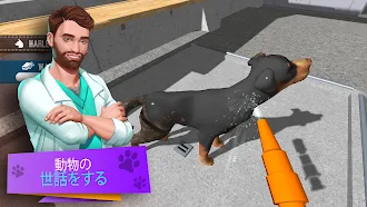Game screenshot Animal Shelter Simulator apk download