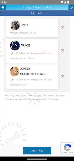 Lucys Doggy Daycare & Spa Screen 3