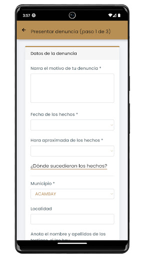 Denuncia EDOMEX Screen 2