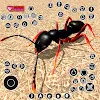 Ant Colony Tiny Bug Games icon