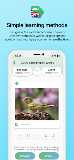 Anki FlashCard Screen 2