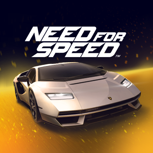 Need for Speed: NL Гонки on pc